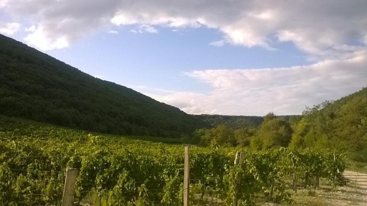 La Dame Blanche Bed & Breakfast Saint-Maurice-d'Ibie Luaran gambar